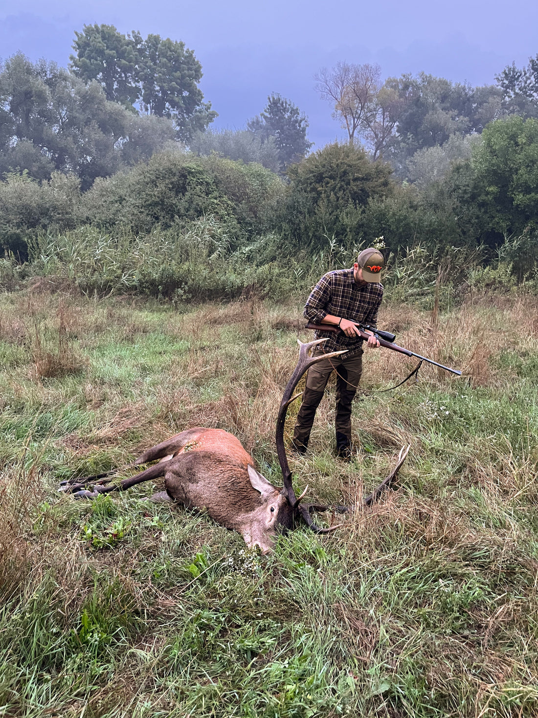 Im Nebel der Brunft: Die Jagd auf den Schattenhirsch von Ungarn