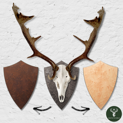 Trophäenschild Dammhirsch